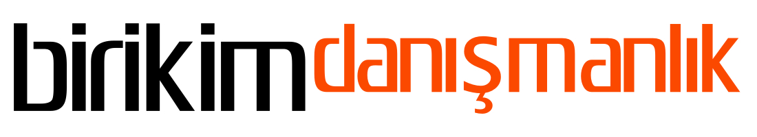 birikim logo