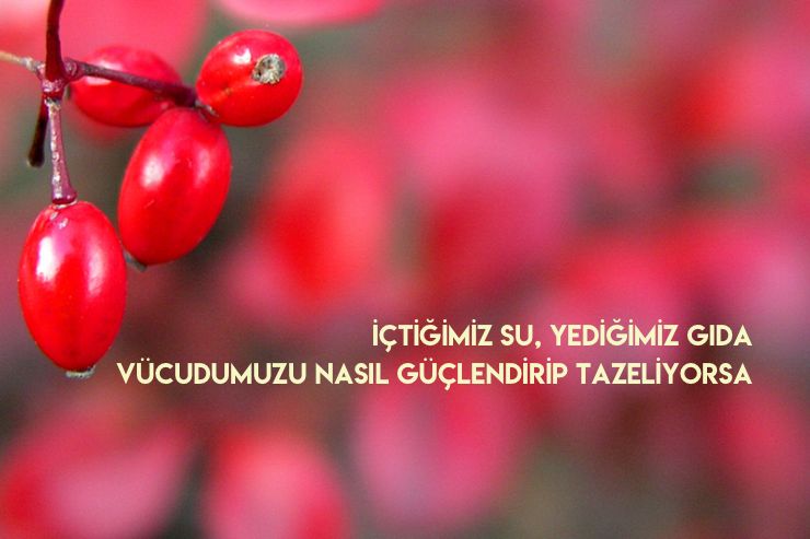 doga sizi cagırıyor