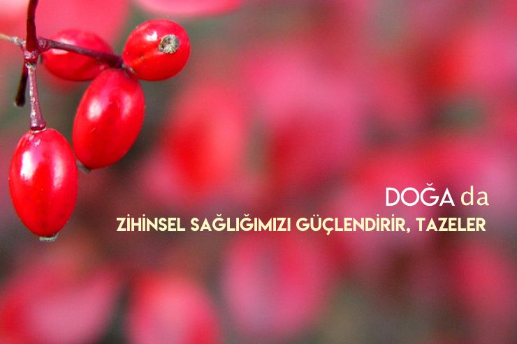 doga sizi cagırıyor