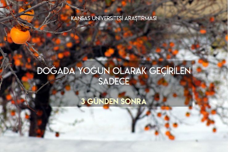 doga sizi cagırıyor