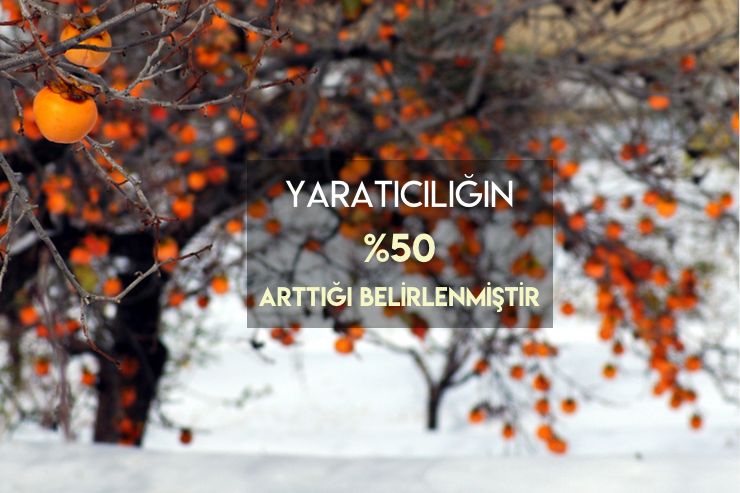 doga sizi cagırıyor