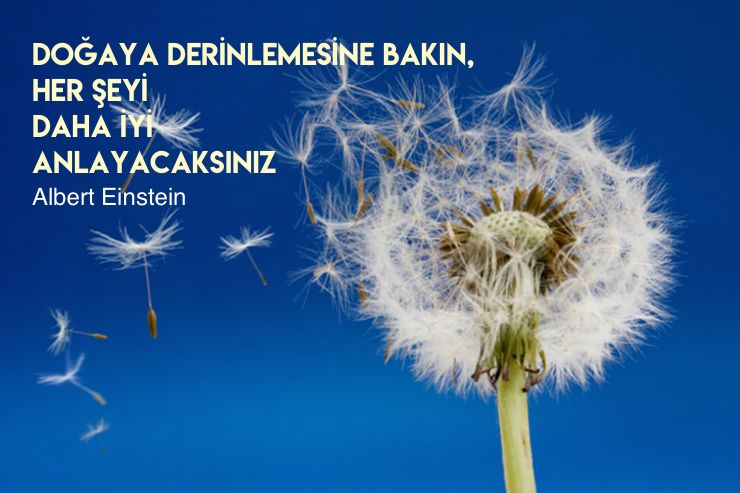 doga sizi cagırıyor